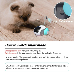 Purrsuit™ MotionPlay Pro